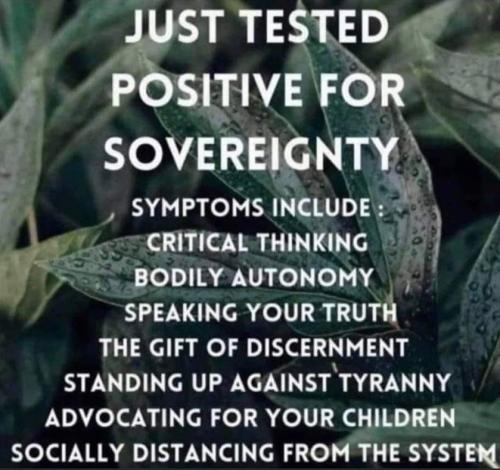 269740914_293238056184044_2538725116649854193_n