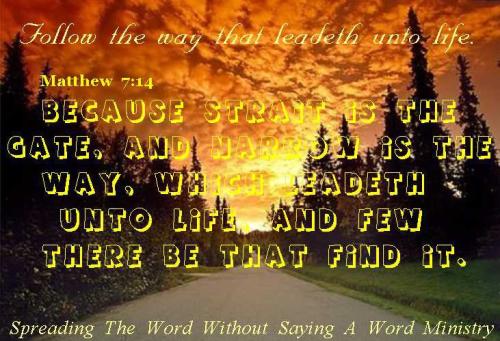 599917_392963734119097_1349499855_n