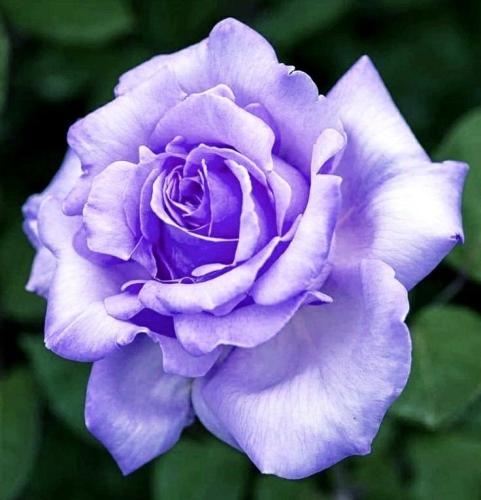 21:45:48 GMT-0600 (CST)