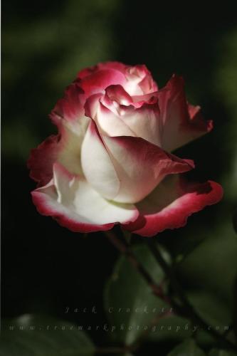 18:54:18 GMT-0600 (CST)