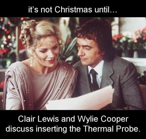 Wylie Cooper and Clair Lewis discuss inserting the thermal probe