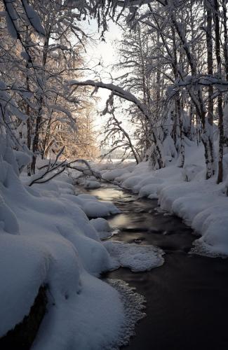 tumblr_7b535c8f92c0fe2a26ddf7cc8129b13e_1284aab4_640