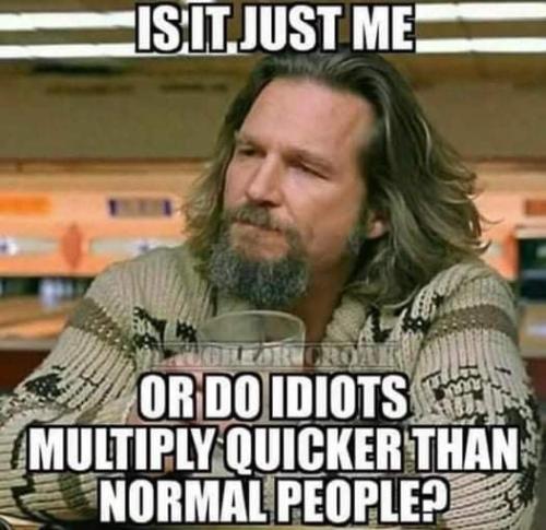 idiots multiply