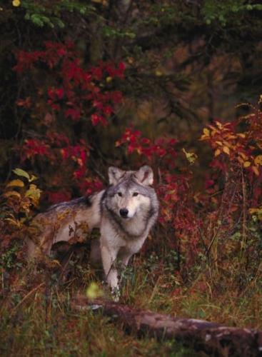 20:22:16 GMT-0600 (CST)