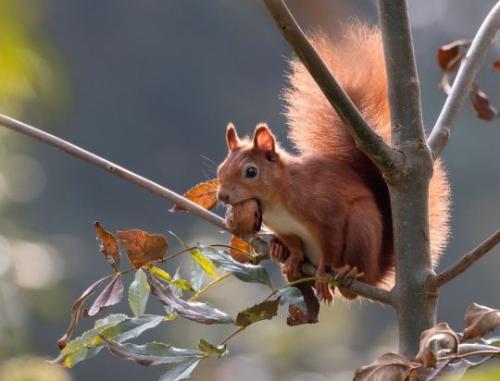 tumblr_7a4c0b498240be685df7bc1f4c36b1ab_57aa0970_540