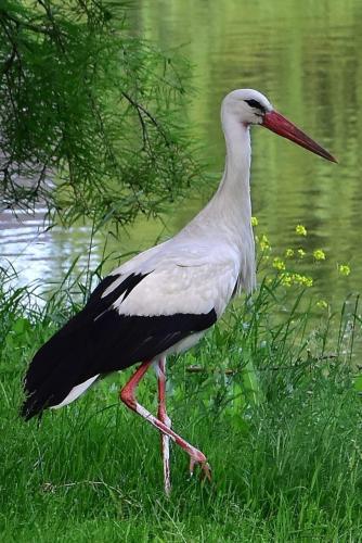 270802647_1734455690087107_7934607704639701512_n