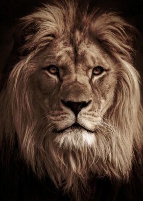 12:52:27 GMT-0600 (CST)