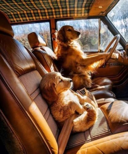 tumblr_da20651d2f8a11c152d143eca495331f_633d8887_500