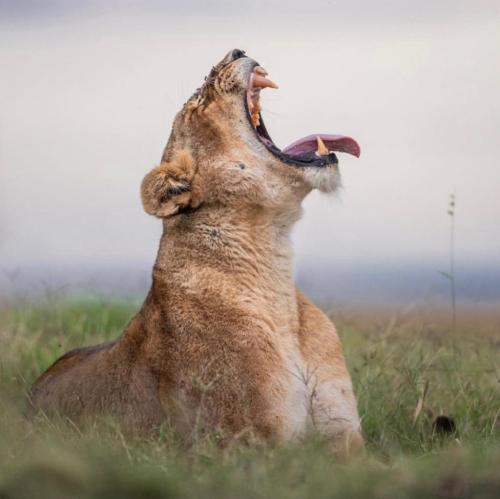 262281527_4569989983055714_3241253625382381640_n