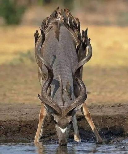 270214604_482440763259602_4851721881265275943_n