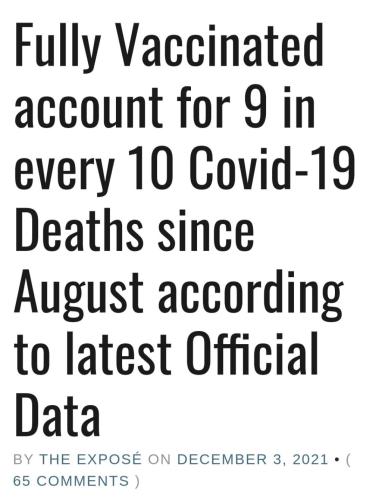 image_1639695746.627