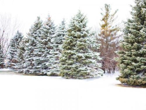 11:33:02 GMT-0500 (EST)