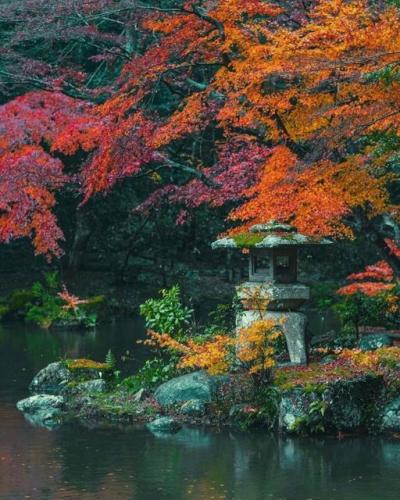 268318746_462398975256110_837444293067680174_n