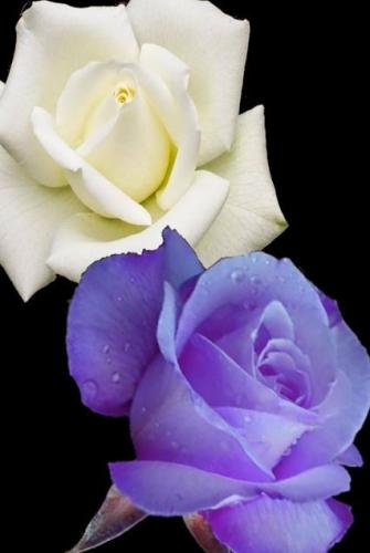 08:07:00 GMT-0600 (CST)