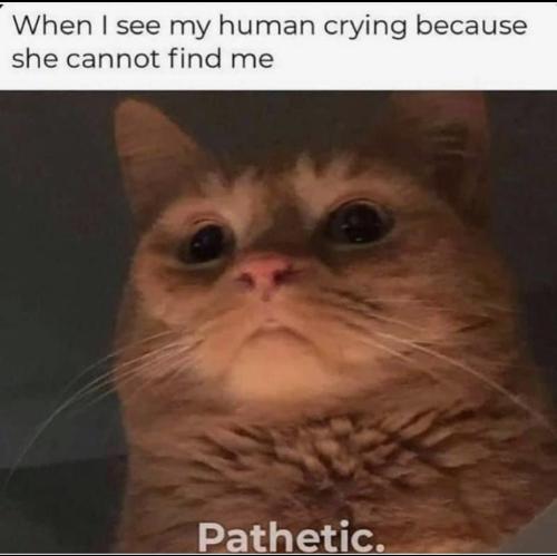 20:01:07 GMT-0800 (PST).image