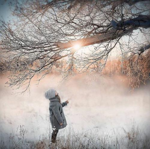 263169254_475952823888700_3076069267525161577_n