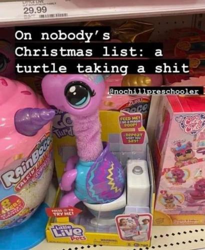 turtle shit