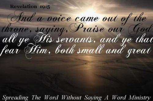 545316_385135444901926_882881963_n