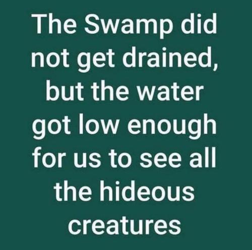 269593394_447957743669766_2196441059100979093_n