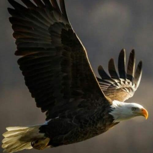 265276387_950326652357677_701714972534409183_n