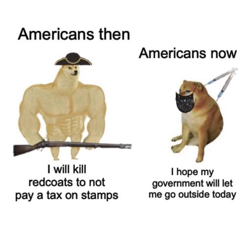 americans_sheep_now