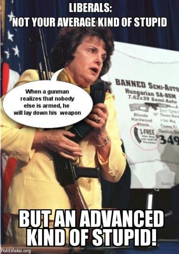 b4dbea96df29f50b361334c7ff9bdeec--anti-liberal-liberal-logic