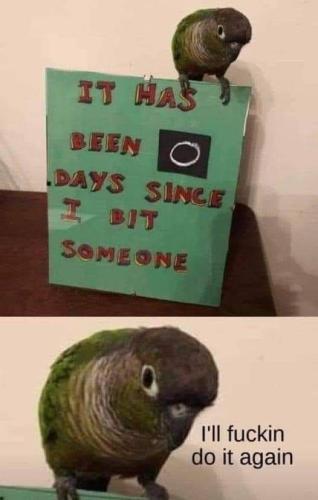 FB_IMG_1639184097895