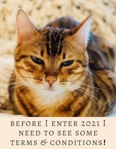 1-Warriors for Life (WFL)