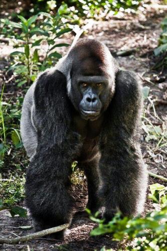 270996076_1732994573566552_5545857449471024174_n