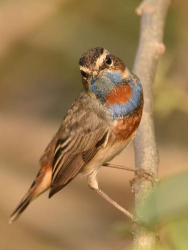 270099565_4848348928541539_253060485087999731_n