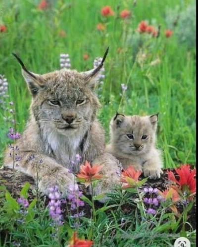 tumblr_41c71eae81a1d86d162c5ef17c3b7683_cd8ab0f6_540