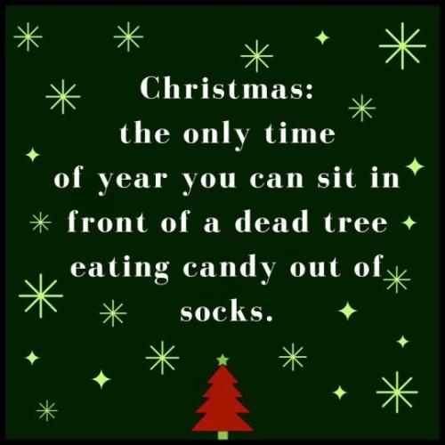 tumblr_563d26687c4b4ed75eccb6a21d656125_0d7e5f29_540