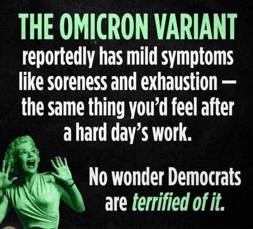 262654207_247285747337351_6367056431515770756_n