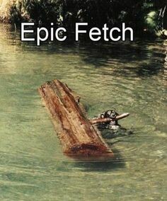 epic fetch