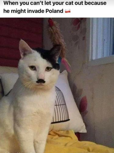 18:16:08 GMT+0000 (GMT)