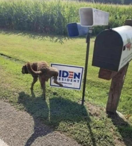 01:16:33 GMT-0800 (PST).image