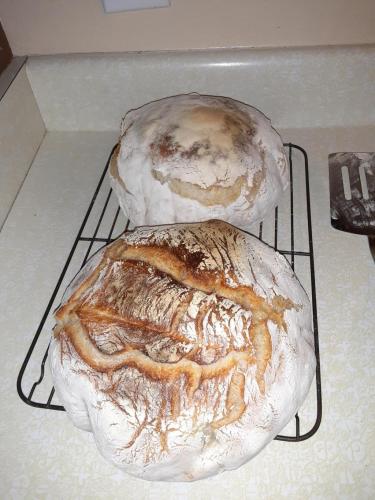 19:14:45 GMT-0700 (MST)