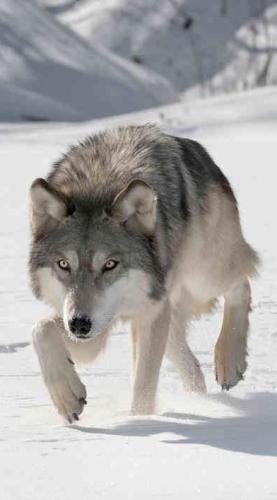 b95720555e5fc977df075e72c69426df