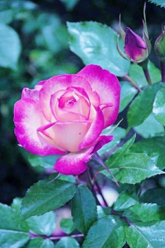 18:39:54 GMT-0600 (CST)