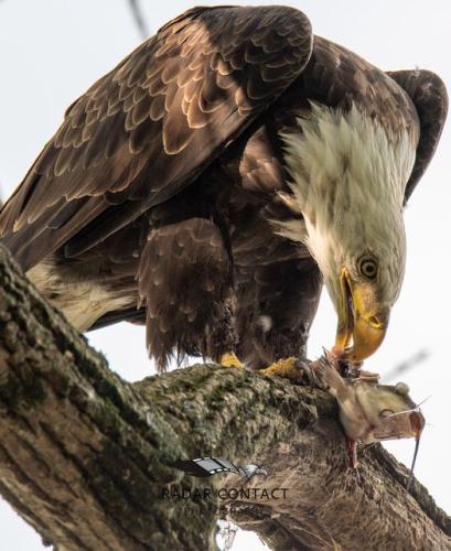 269714767_1553274925028138_6328143586083702219_n