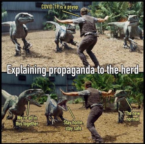 photo_2021-12-06_22-19-59