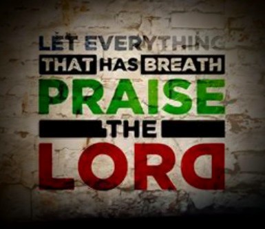 Screenshot_20211215-072152_DuckDuckGo~3