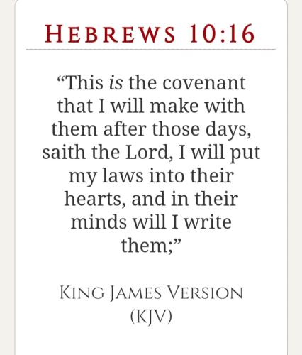 Screenshot_20211229-095531_Brave