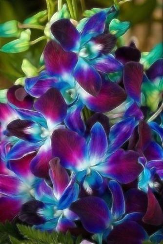 20:21:23 GMT-0600 (CST)