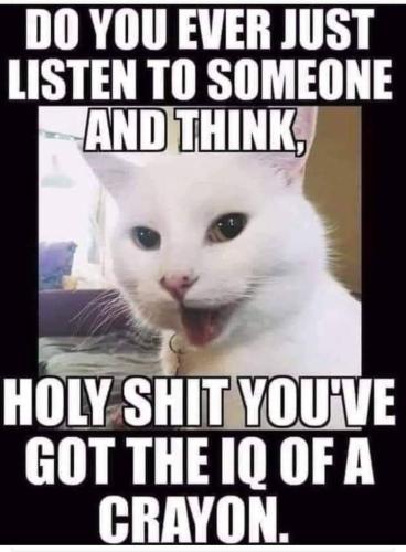 FB_IMG_1640608414957