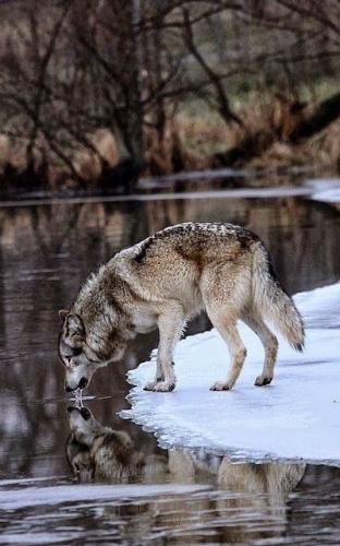 0e498e74f9654a9217275b5189b3f4e1