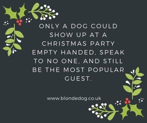 FB_IMG_1640639012288