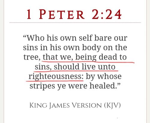 Screenshot_20211202-090634_DuckDuckGo