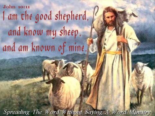 558948_396581133757357_1080906840_n