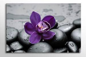 57155601_411563052954154_9031372563338493952_n